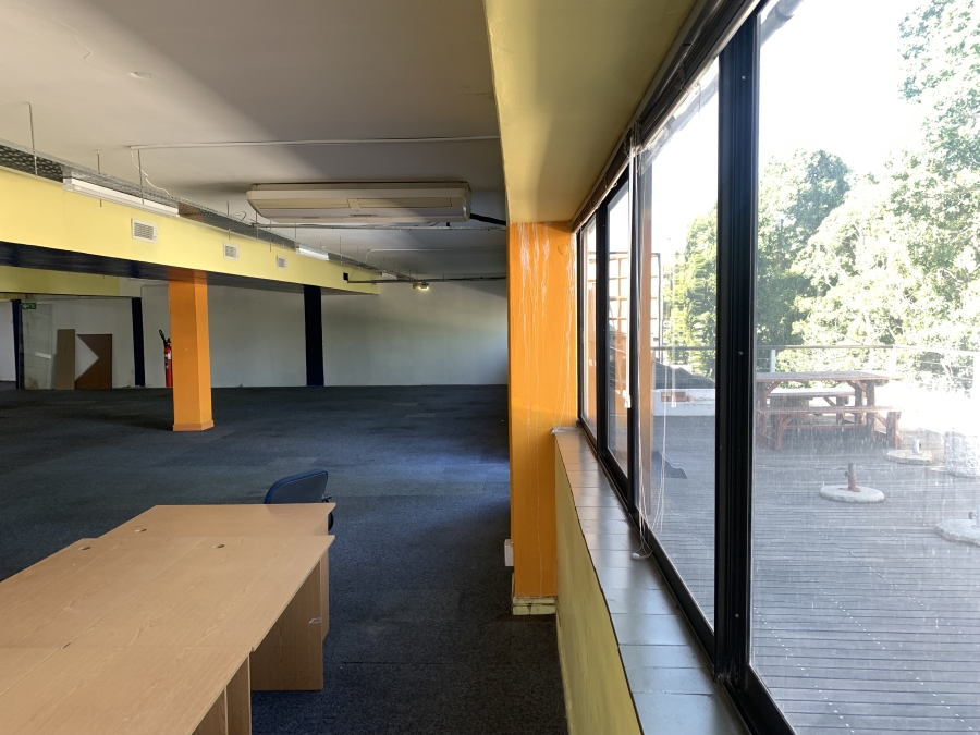 To Let commercial Property for Rent in Rondebosch Western Cape